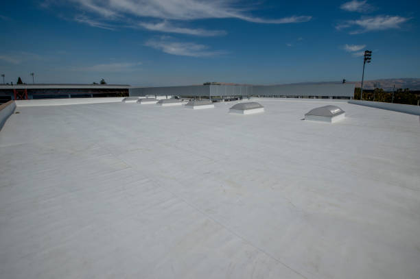 Best Roof Coating and Sealing  in Ship Bottom, NJ